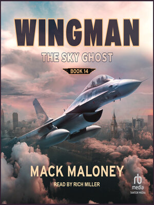 cover image of The Sky Ghost